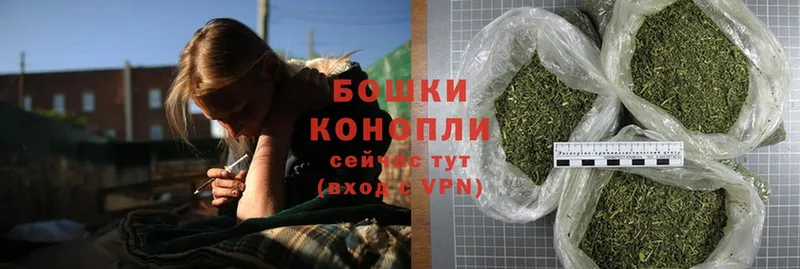 Шишки марихуана Ganja  Каневская 